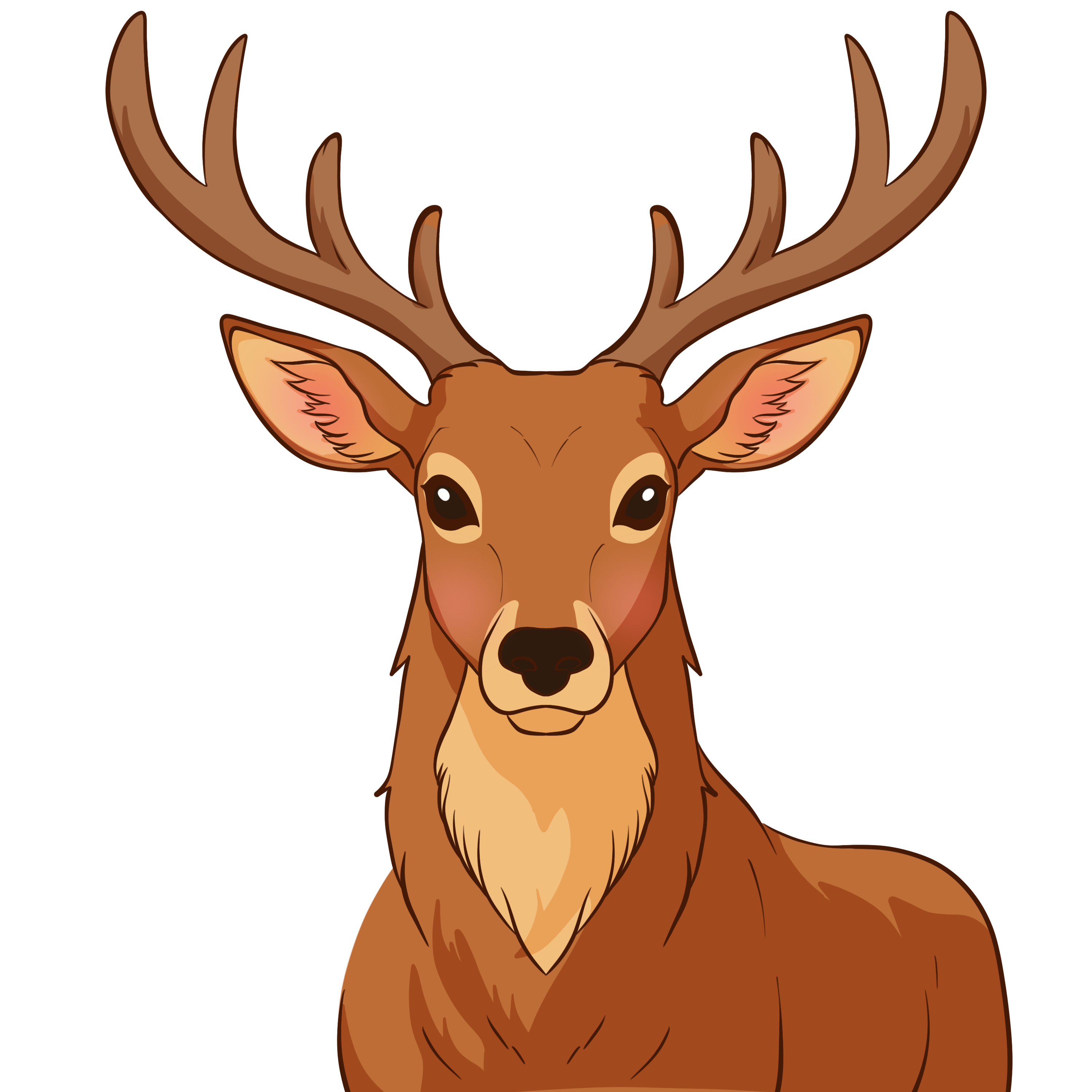 Little Buck Visual